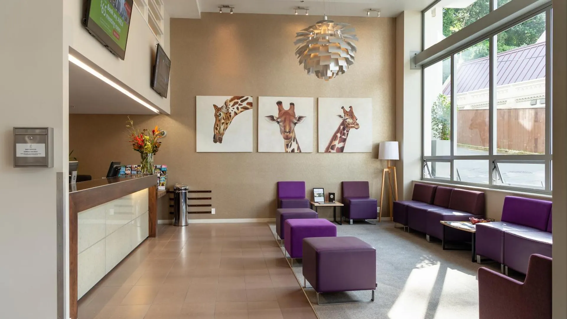 Boulcott Suites Wellington